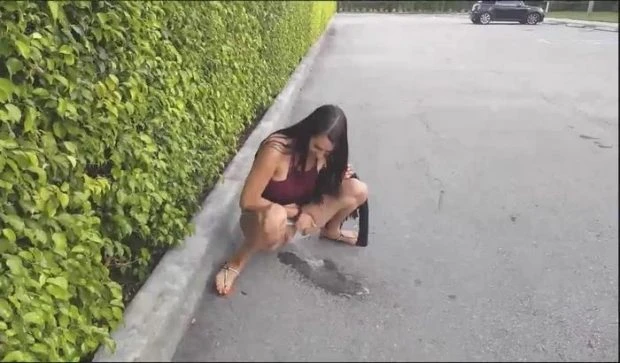Public Pissing, Flashing, Blowjob (Piss Spitting, Pissing In Mouth) - Sexy Drunk Amateur (2023 | FullHD)